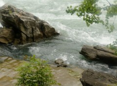  Nature Chutes de Niagara