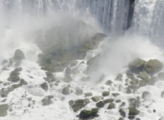  Nature Chutes de Niagara