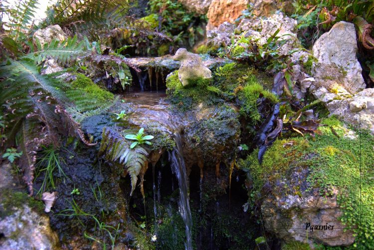 Fonds d'cran Nature Eau Mouvements d'eaux.