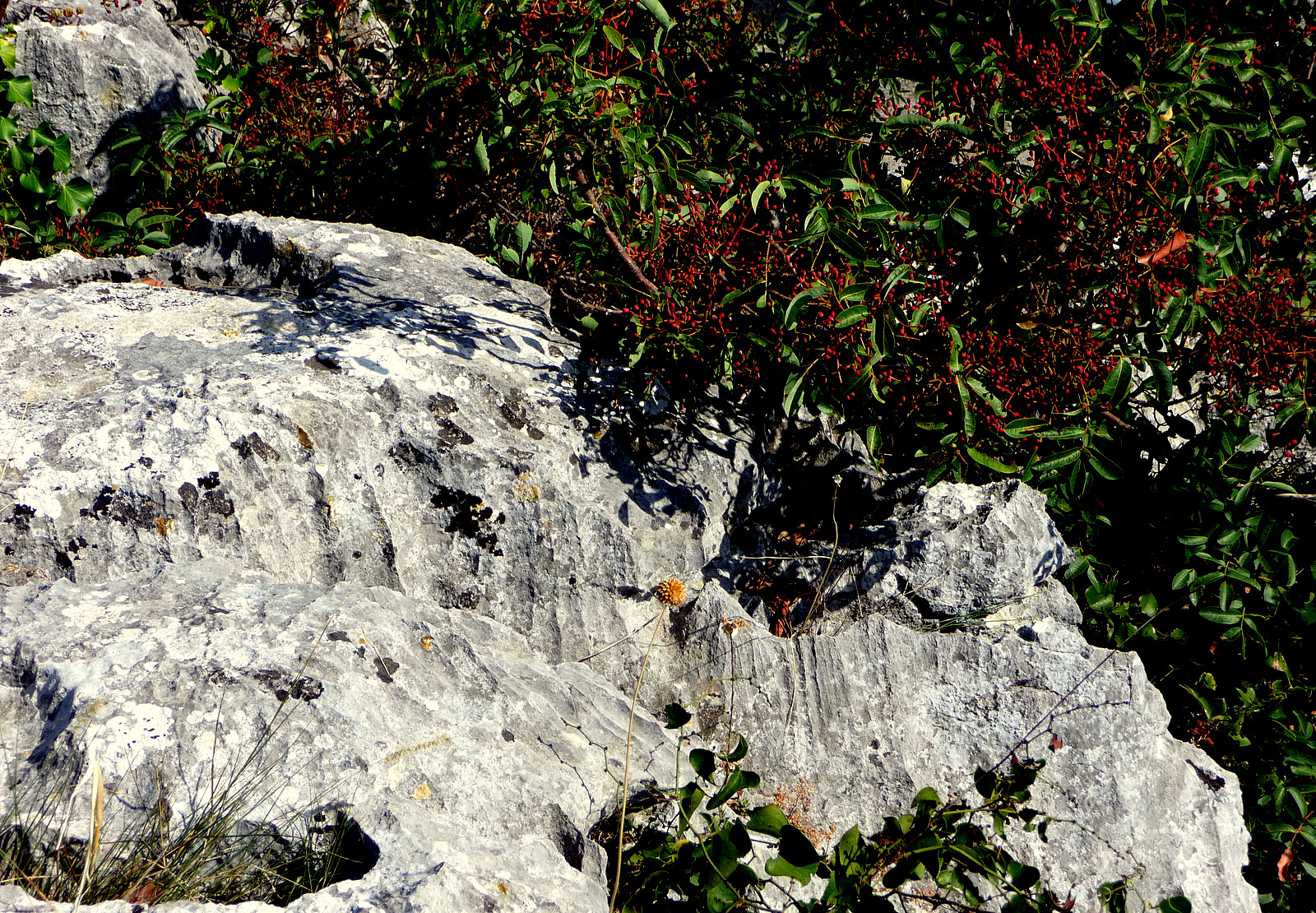 Fonds d'cran Nature Roches - Pierres - Sables PAYSAGE ARDECHOIS