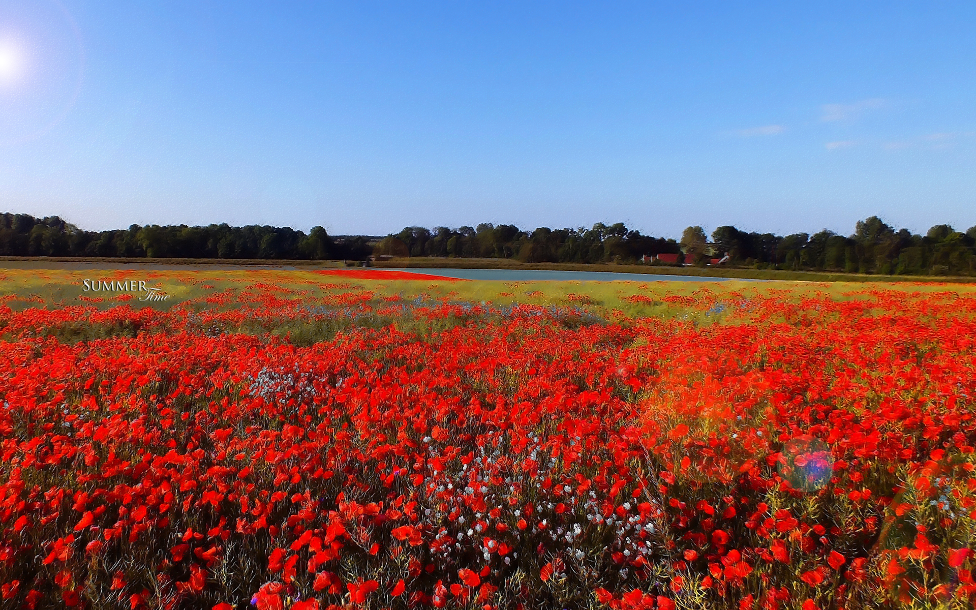 Wallpapers Nature Fields 