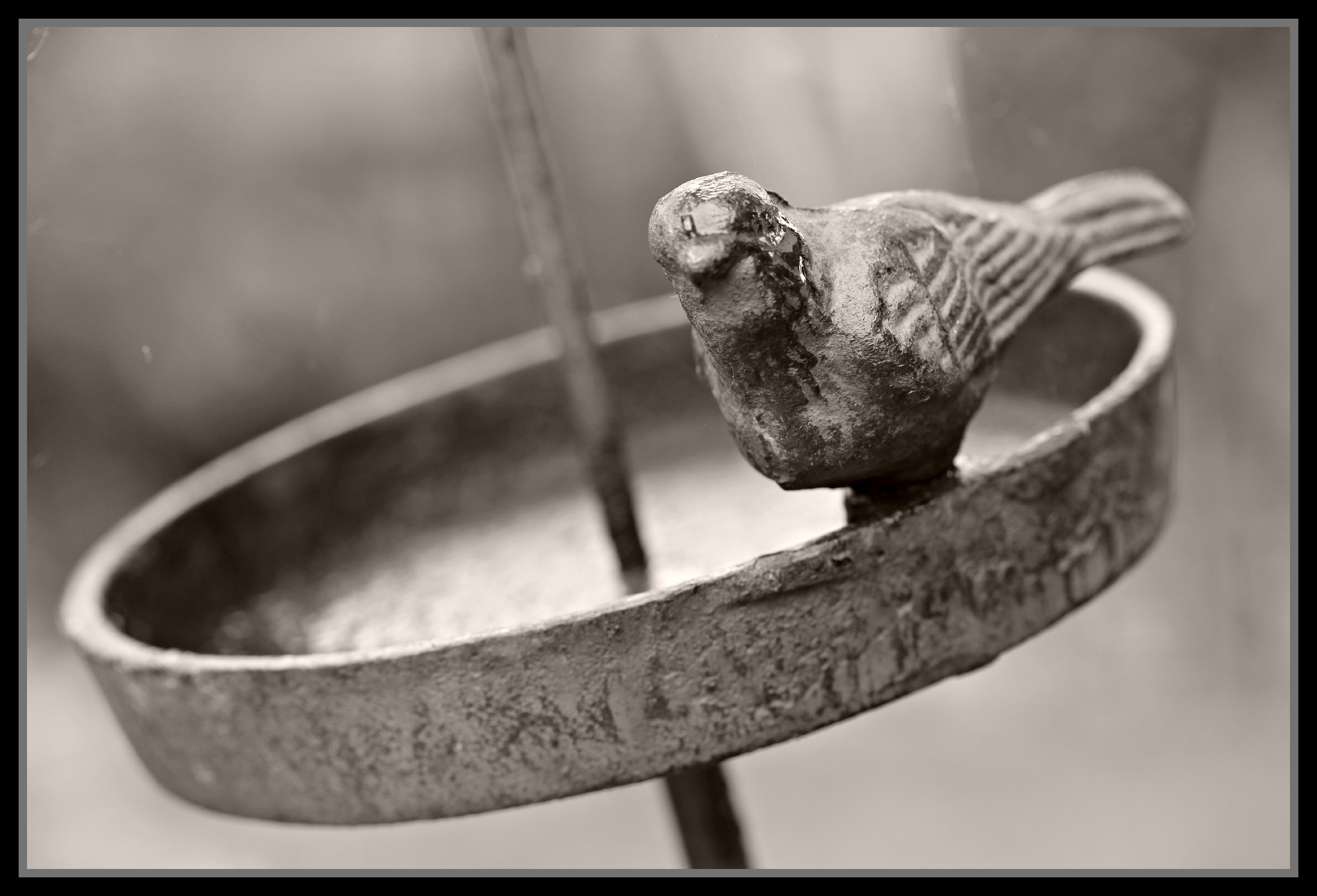 Fonds d'cran Objets Divers petit oiseau