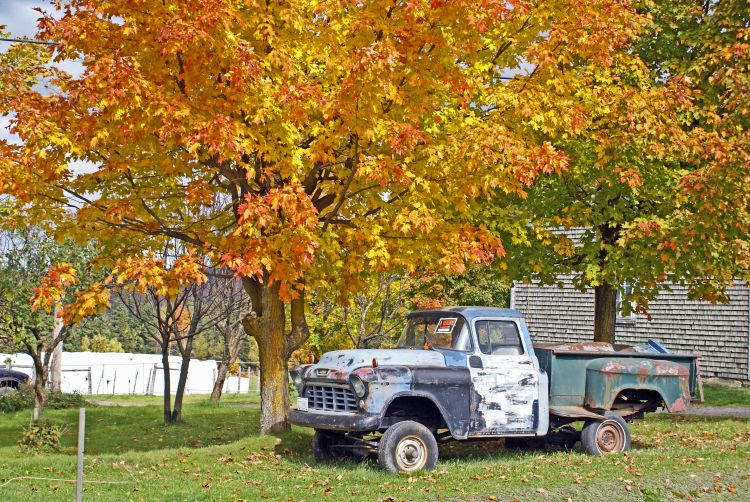 Fonds d'cran Voitures Chevrolet CAMION CHEVROLET ANTIQUE