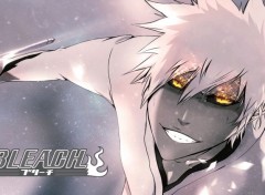  Manga Kurosaki Ichigo hollow