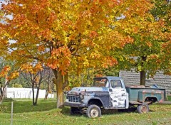  Voitures CAMION CHEVROLET ANTIQUE