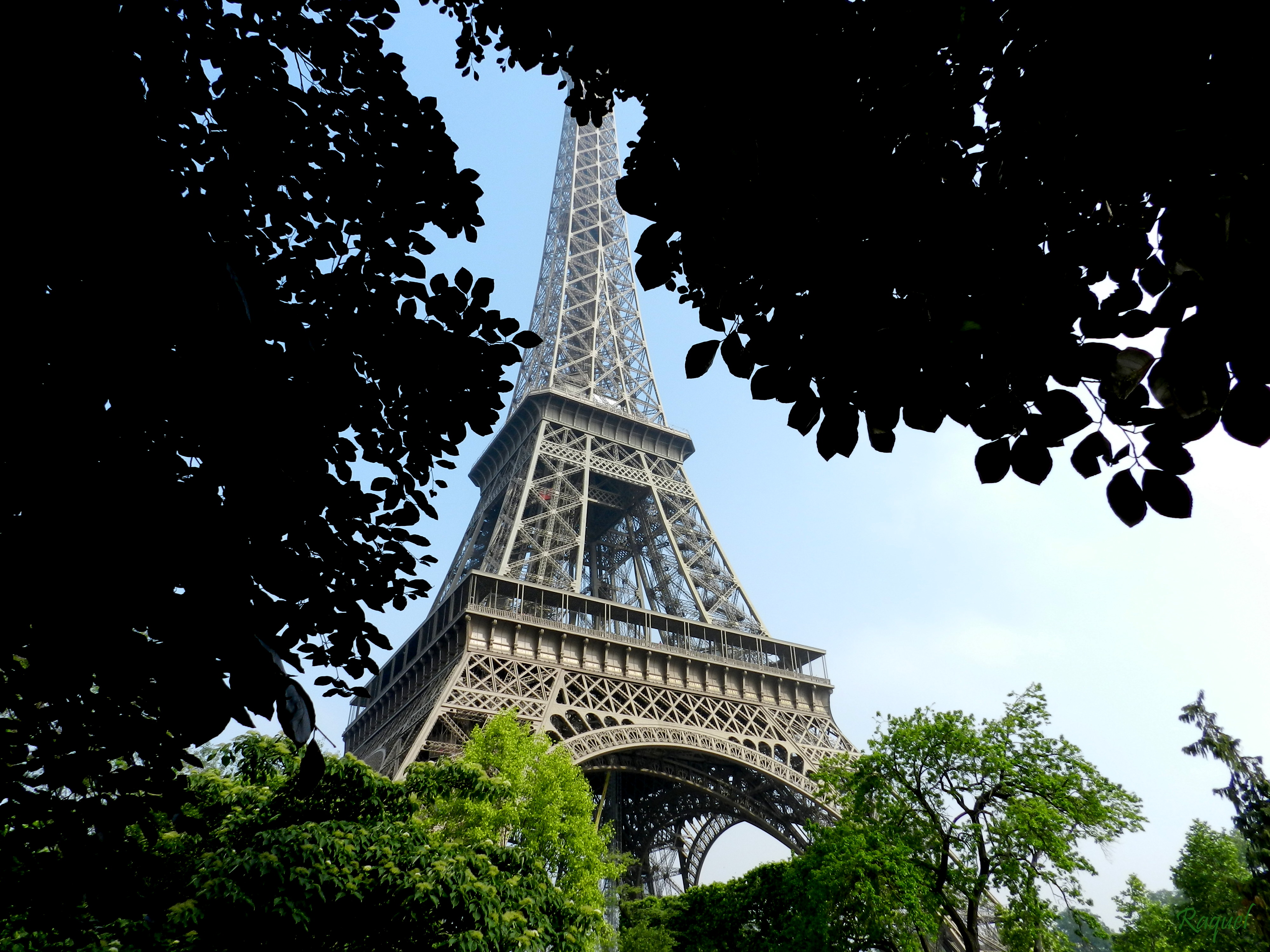 Fonds d'cran Voyages : Europe France > Ile-de-France > Paris Derrière les arbres 