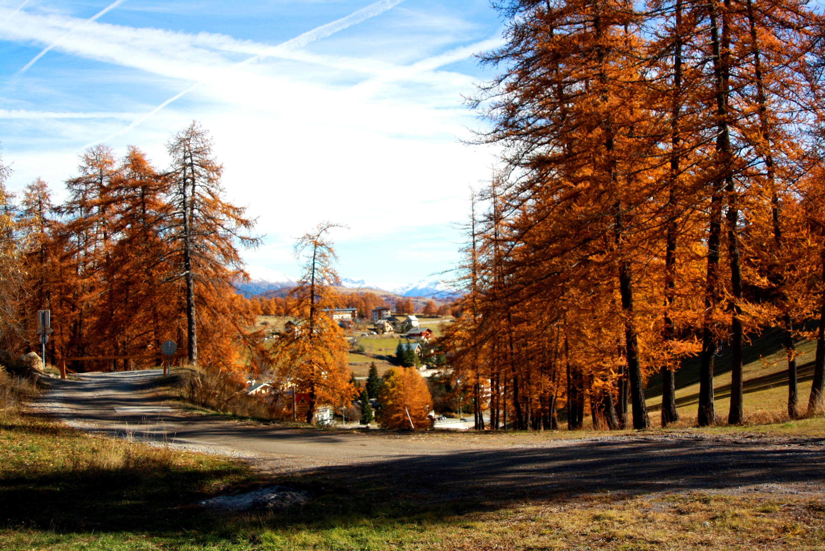 Wallpapers Nature Trees - Forests PAYSAGE PROVENCE