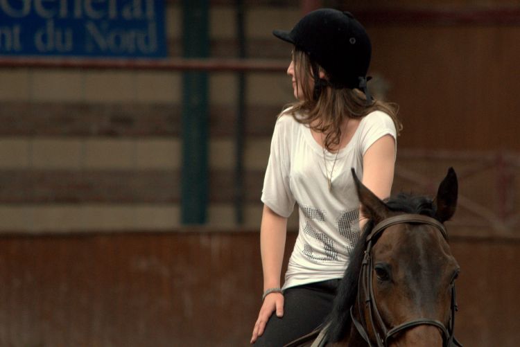 Fonds d'cran Sports - Loisirs Equitation UNE HISTOIRE DE CHEVAUX