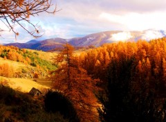  Nature PAYSAGE PROVENCE