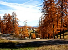  Nature PAYSAGE PROVENCE