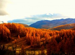  Nature PAYSAGE PROVENCE