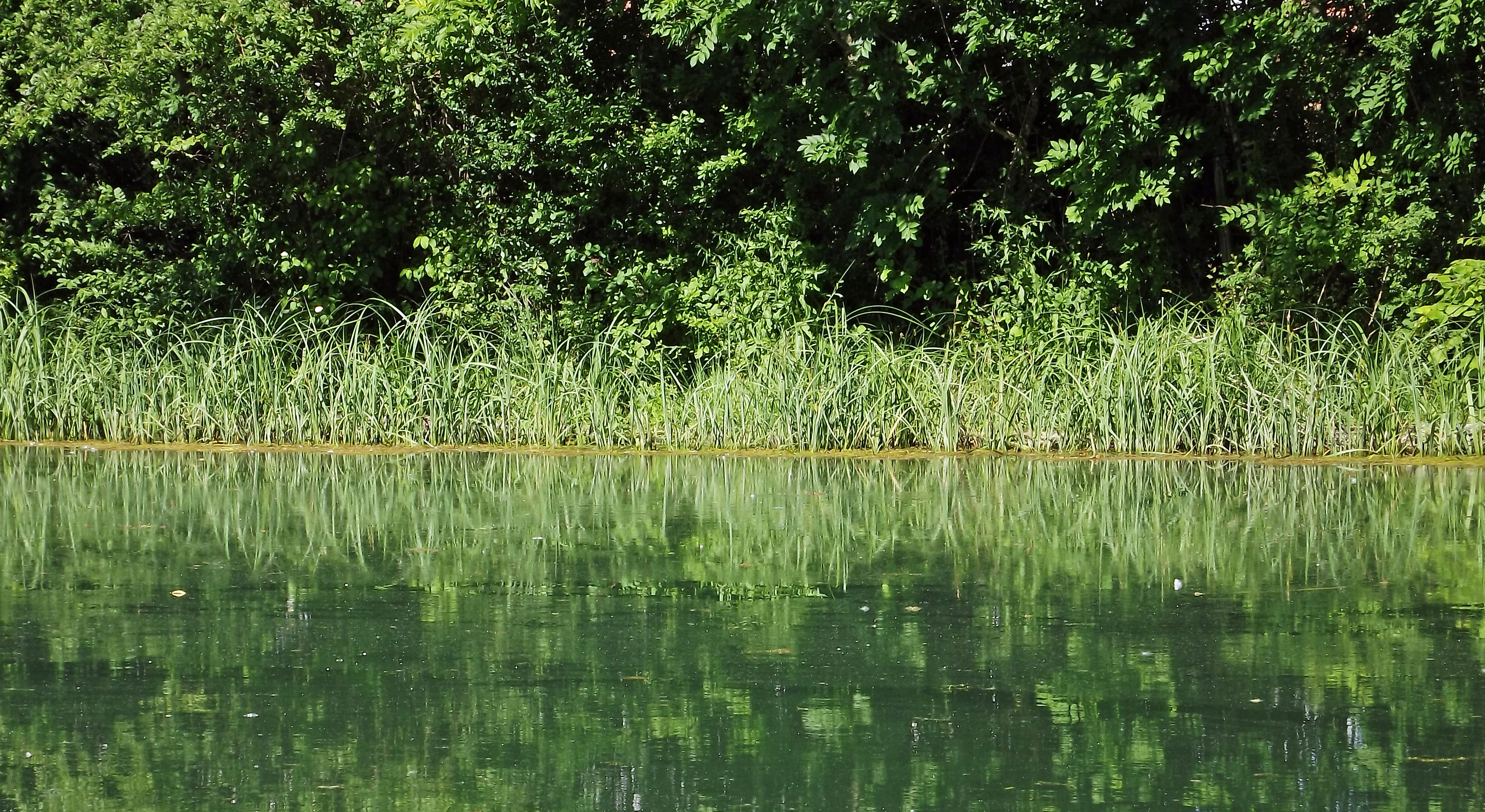 Fonds d'cran Nature Lacs - Etangs 