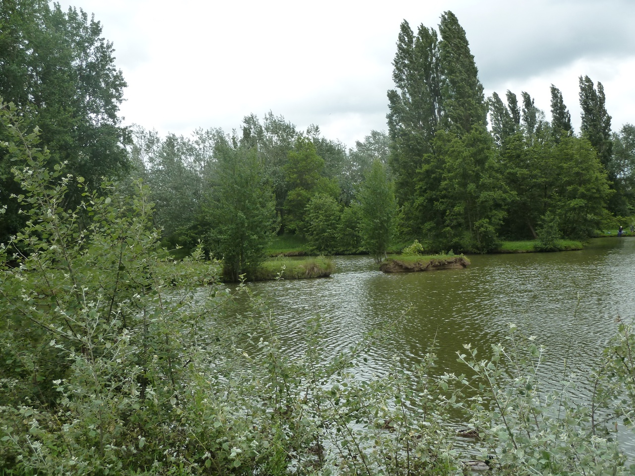 Wallpapers Nature Lakes - Ponds Plan d'eau 