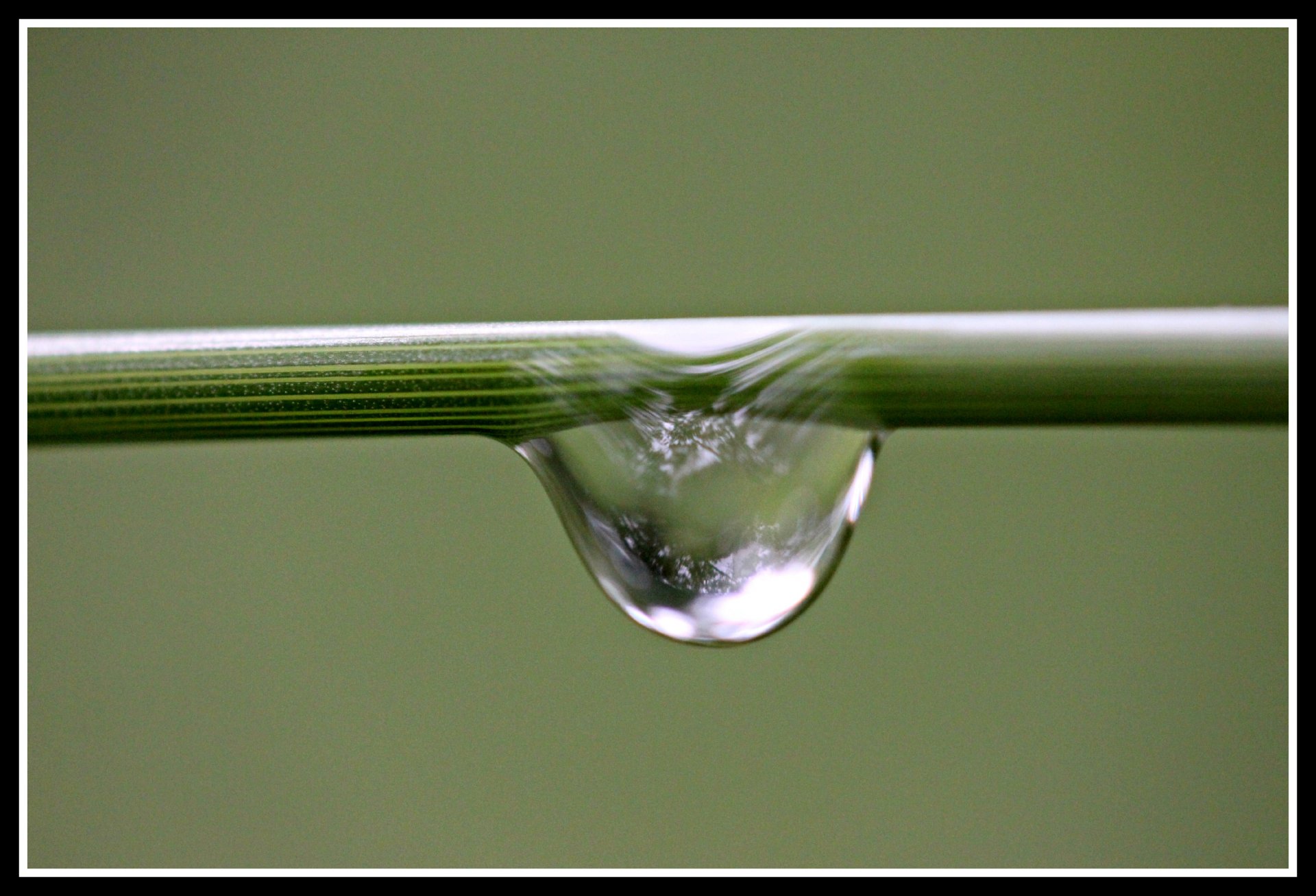 Wallpapers Nature Water - Drops petite goute d'eau