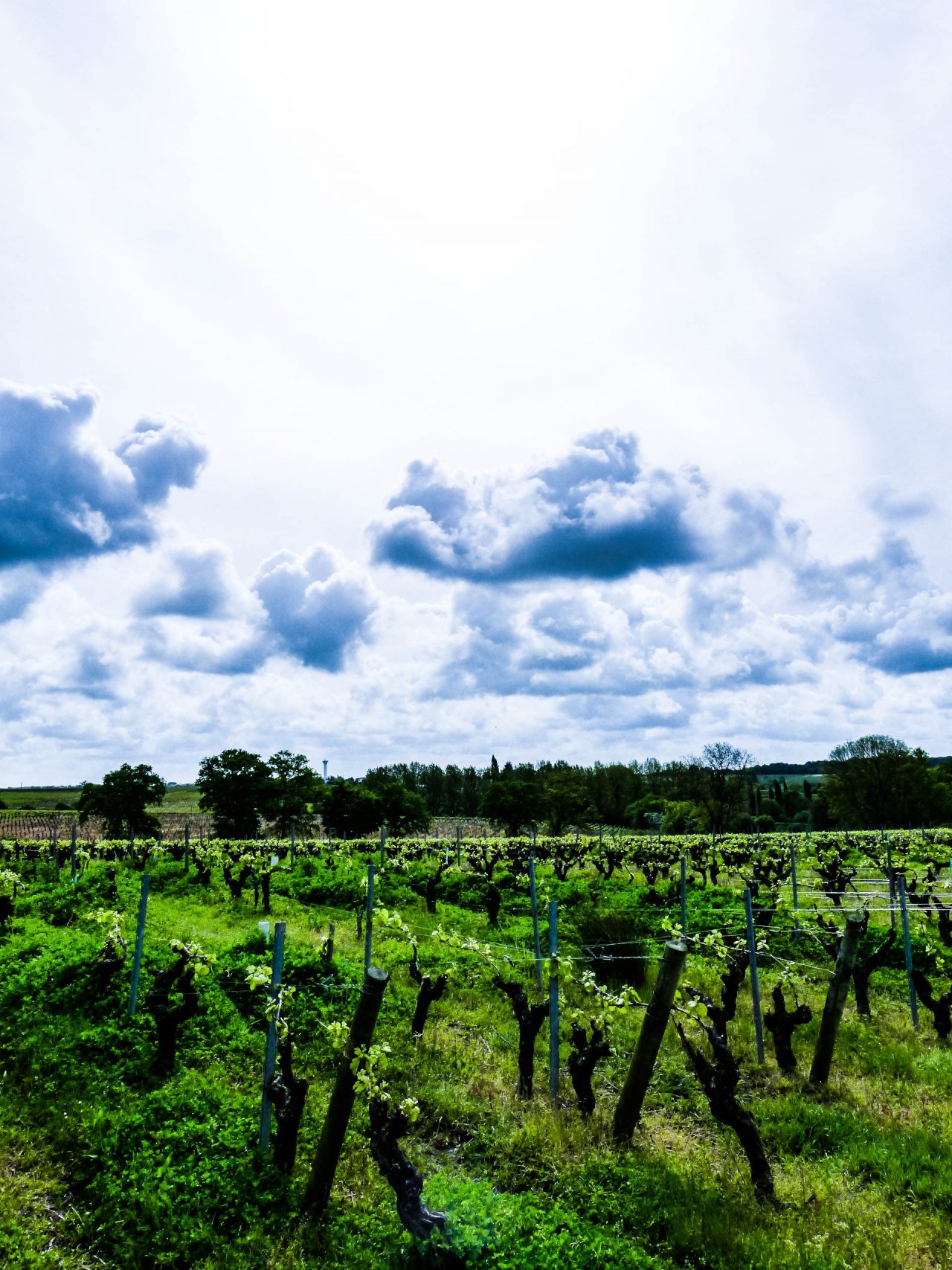 Fonds d'cran Voyages : Europe France > Pays de Loire 