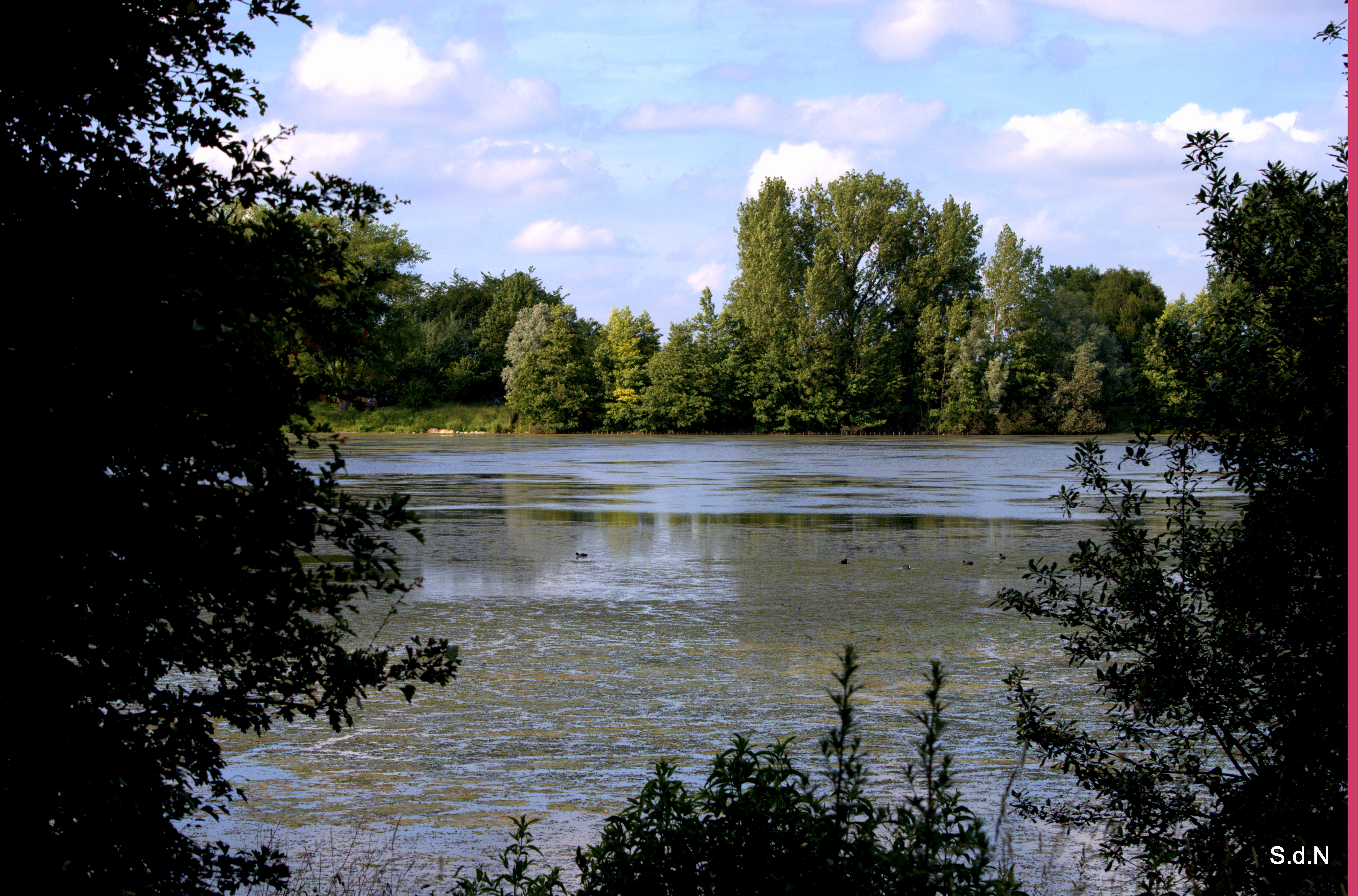 Fonds d'cran Nature Lacs - Etangs VILLENEUVE D ASCQ 