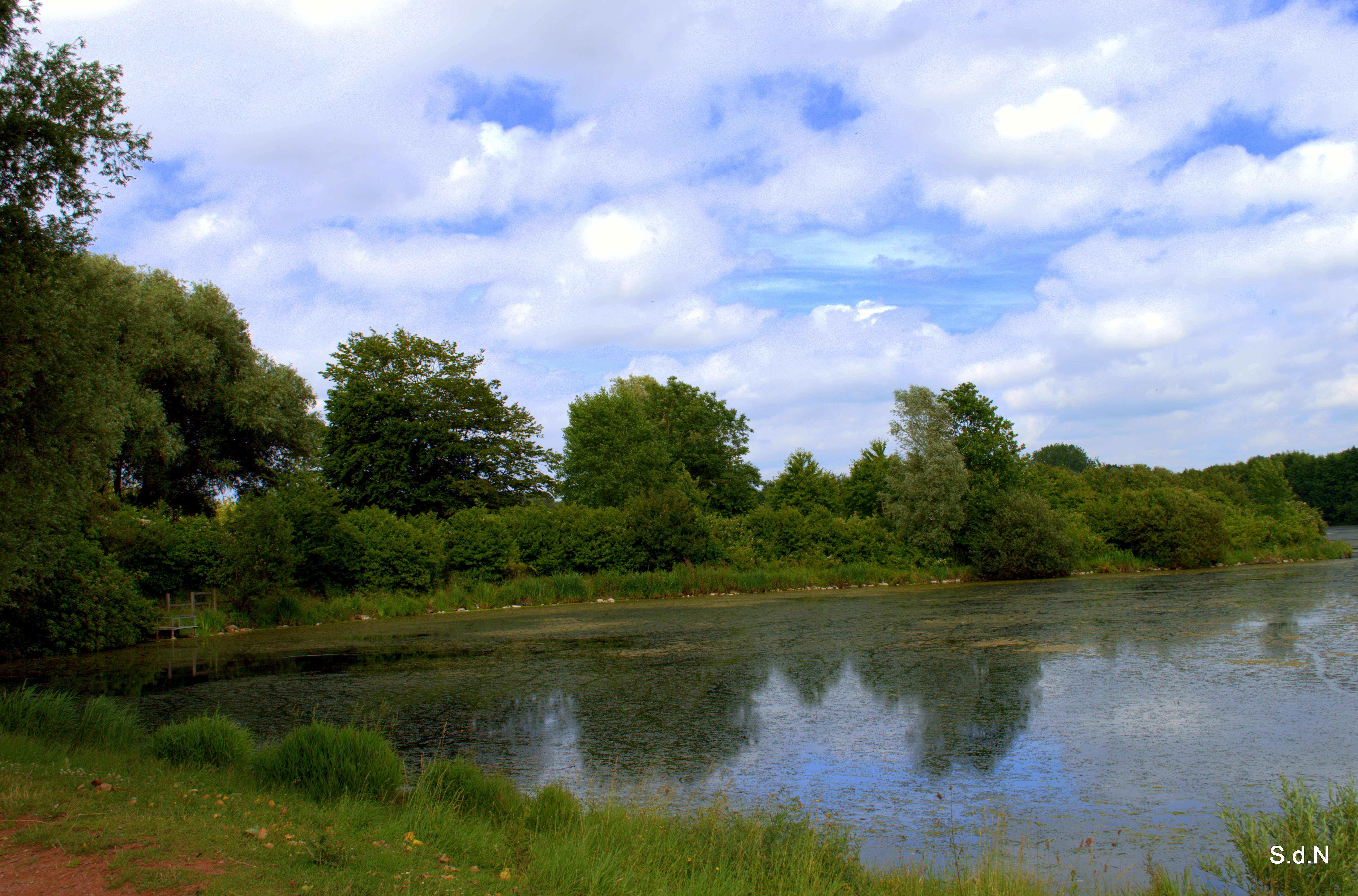 Fonds d'cran Nature Lacs - Etangs VILLENEUVE D ASCQ 