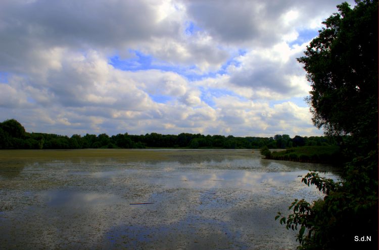 Fonds d'cran Nature Lacs - Etangs VILLENEUVE D ASCQ 