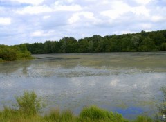  Nature VILLENEUVE D ASCQ 