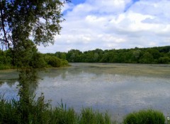  Nature VILLENEUVE D ASCQ 