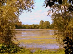  Nature VILLENEUVE D ASCQ 