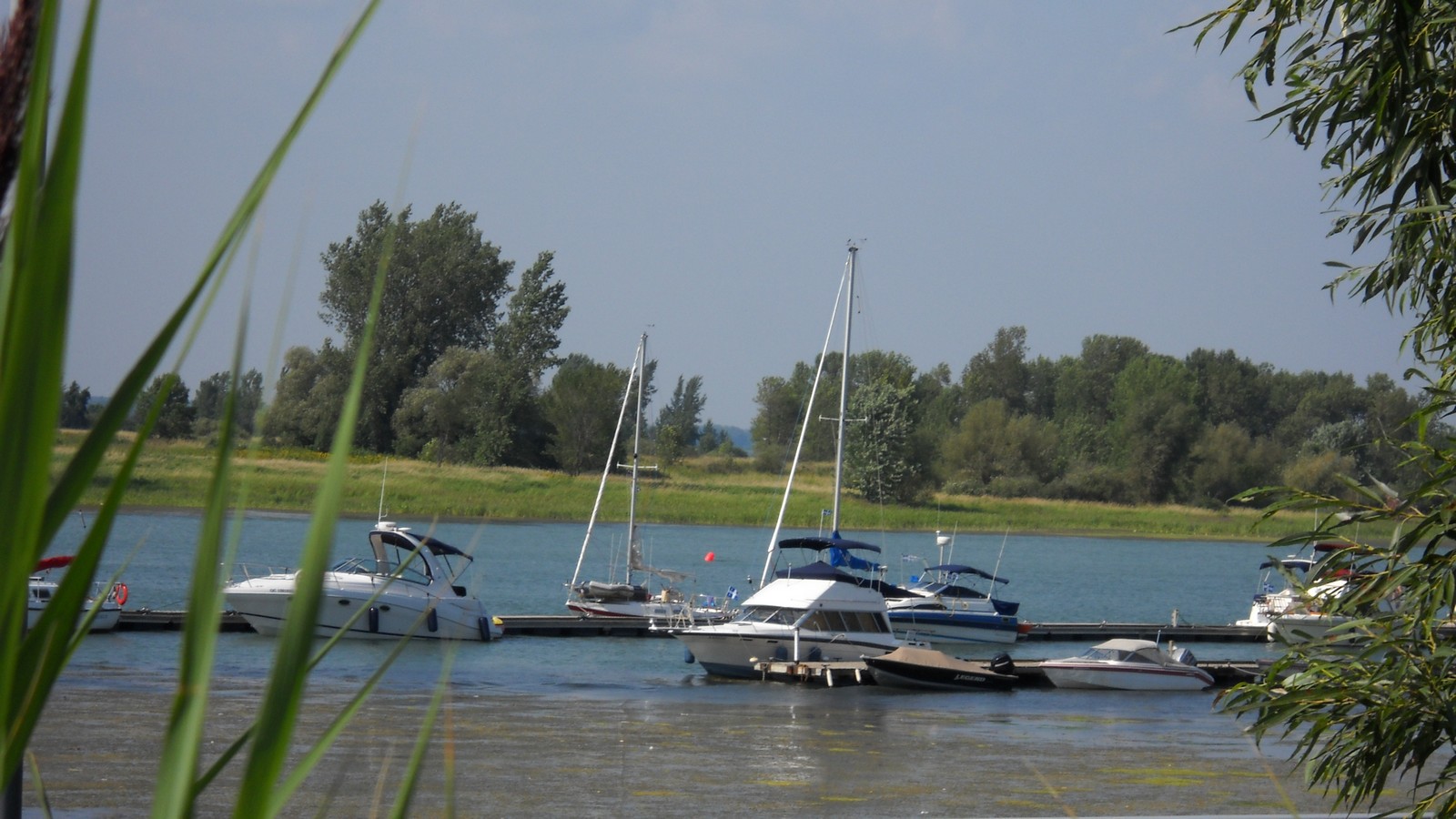 Fonds d'cran Nature Fleuves - Rivires - Torrents Fleuve Saint-Laurent