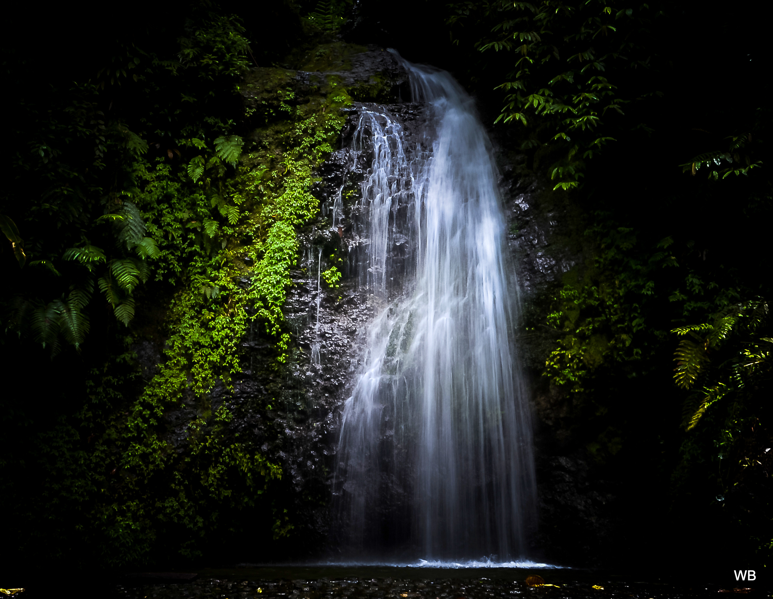 Fonds d'cran Nature Cascades - Chutes west indies waterfalls