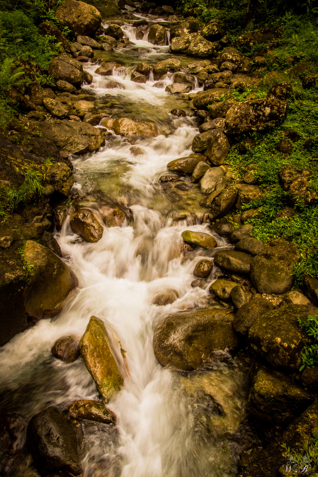 Fonds d'cran Nature Fleuves - Rivires - Torrents west indies river