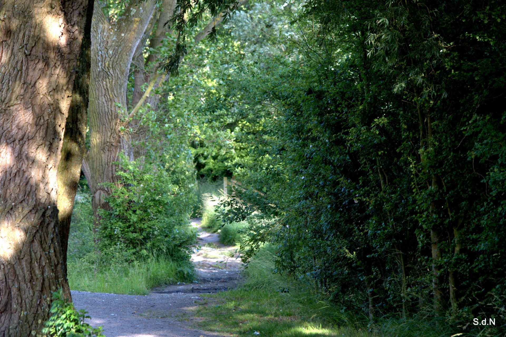 Fonds d'cran Nature Paysages CHEMINS ET PUITS DE LUMIERE JUIN 2013 LAC VD ASCQ