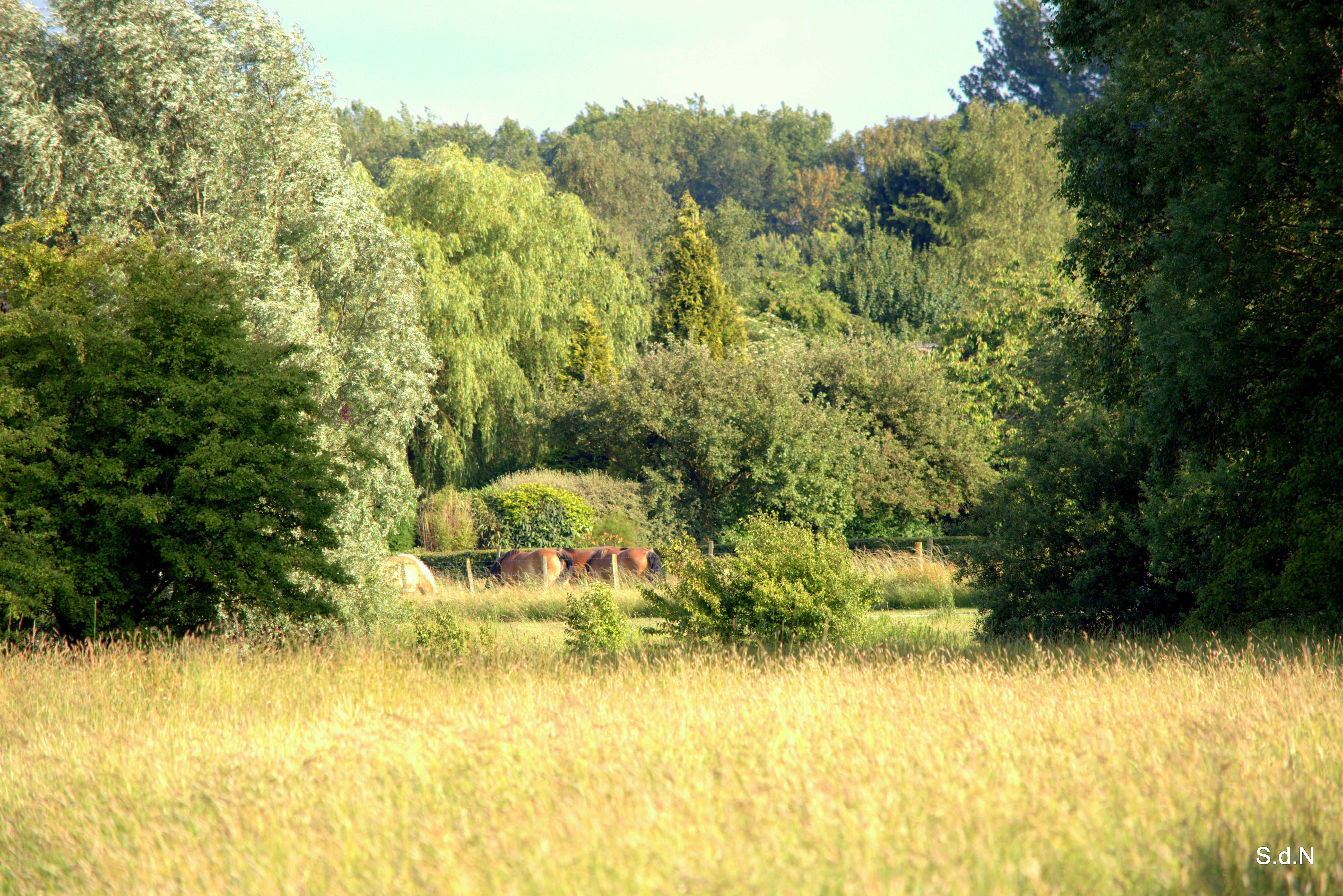 Fonds d'cran Nature Paysages CHEMINS ET PUITS DE LUMIERE JUIN 2013 LAC VD ASCQ