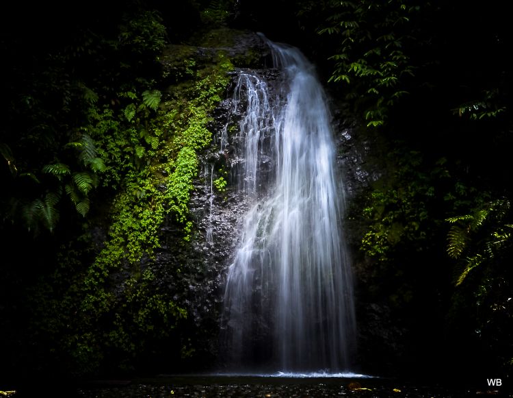 Fonds d'cran Nature Cascades - Chutes west indies waterfalls