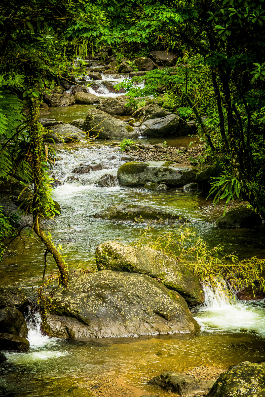 Wallpapers Nature Rivers - Torrents belle riviere sauvage