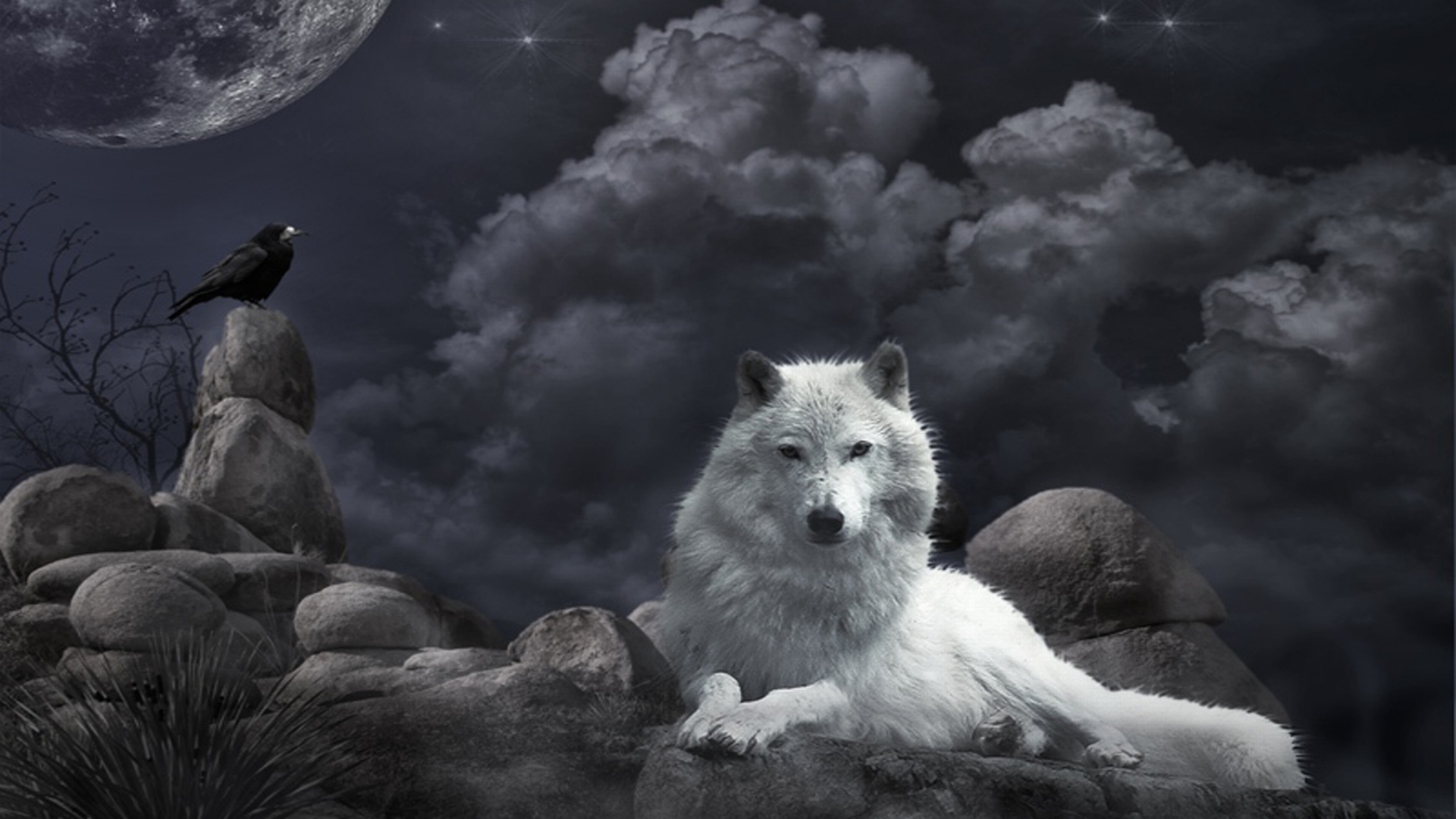 Wallpapers Animals Wolves 