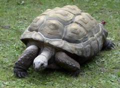  Animaux Ballade au zoo de Lille