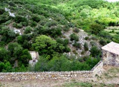  Nature VALLON-ALBA LA ROMAINE-SAINT MONTAN ( ARDECHE)