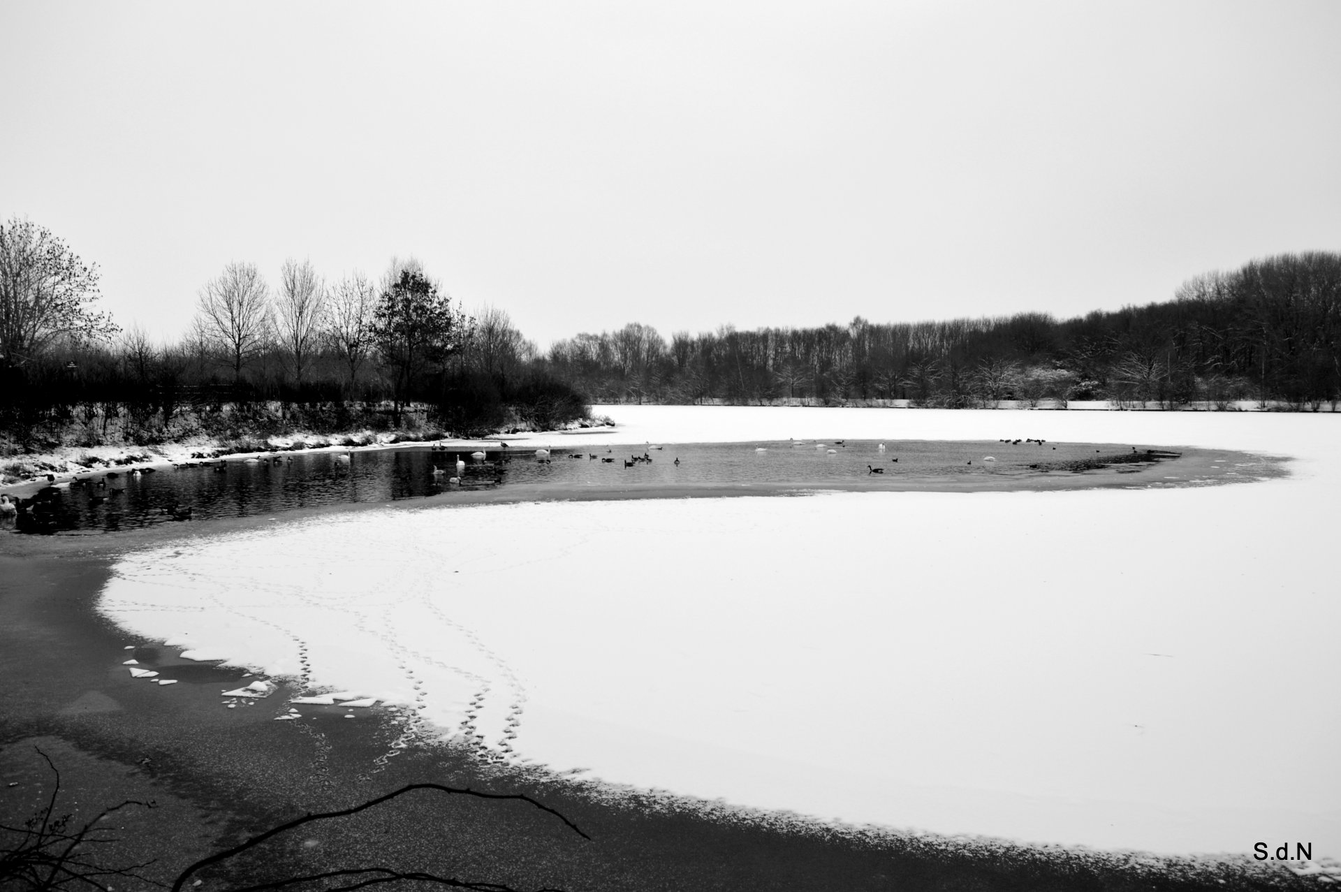 Fonds d'cran Nature Lacs - Etangs V.D ASCQ " LE LAC"