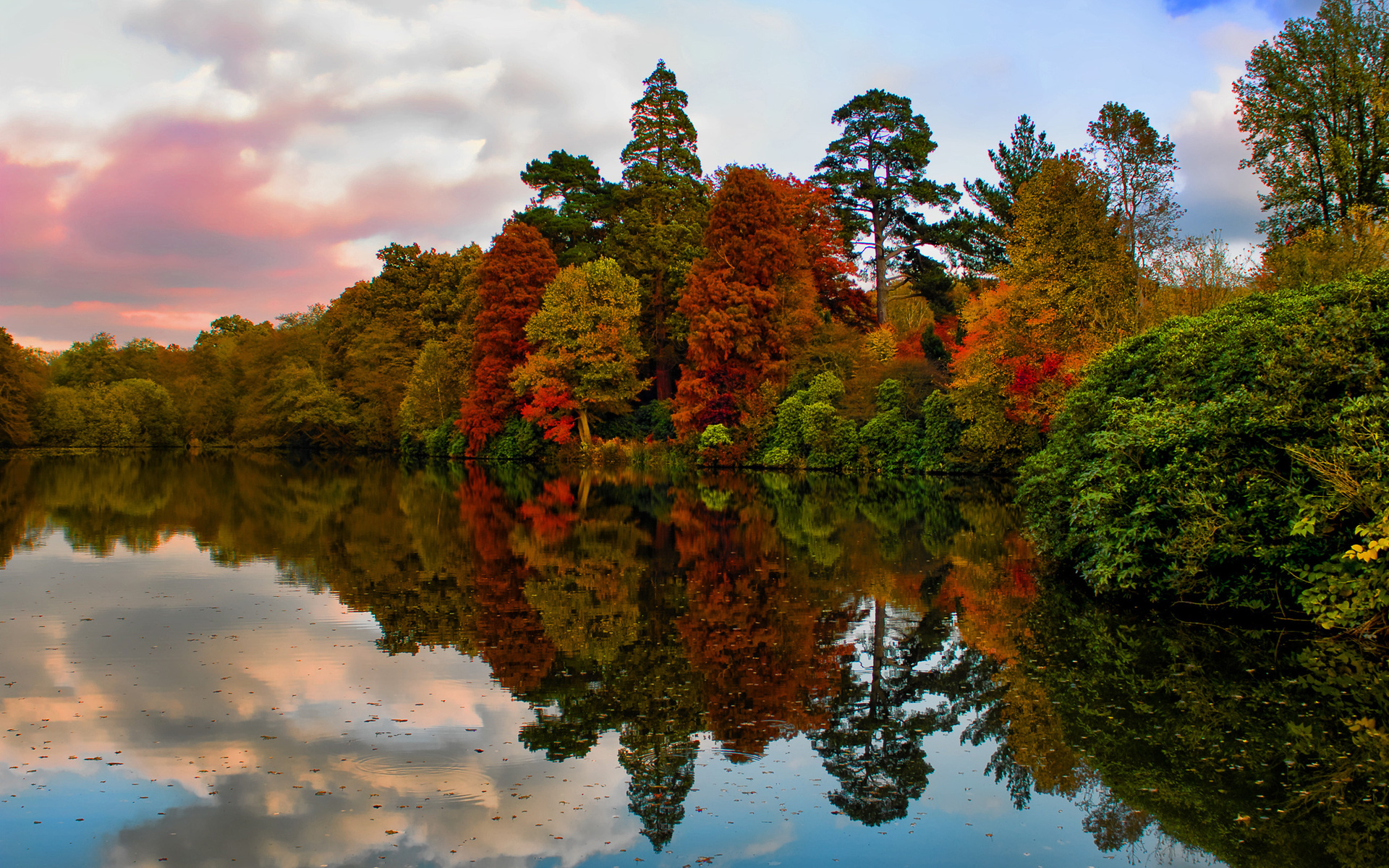 Wallpapers Nature Trees - Forests 