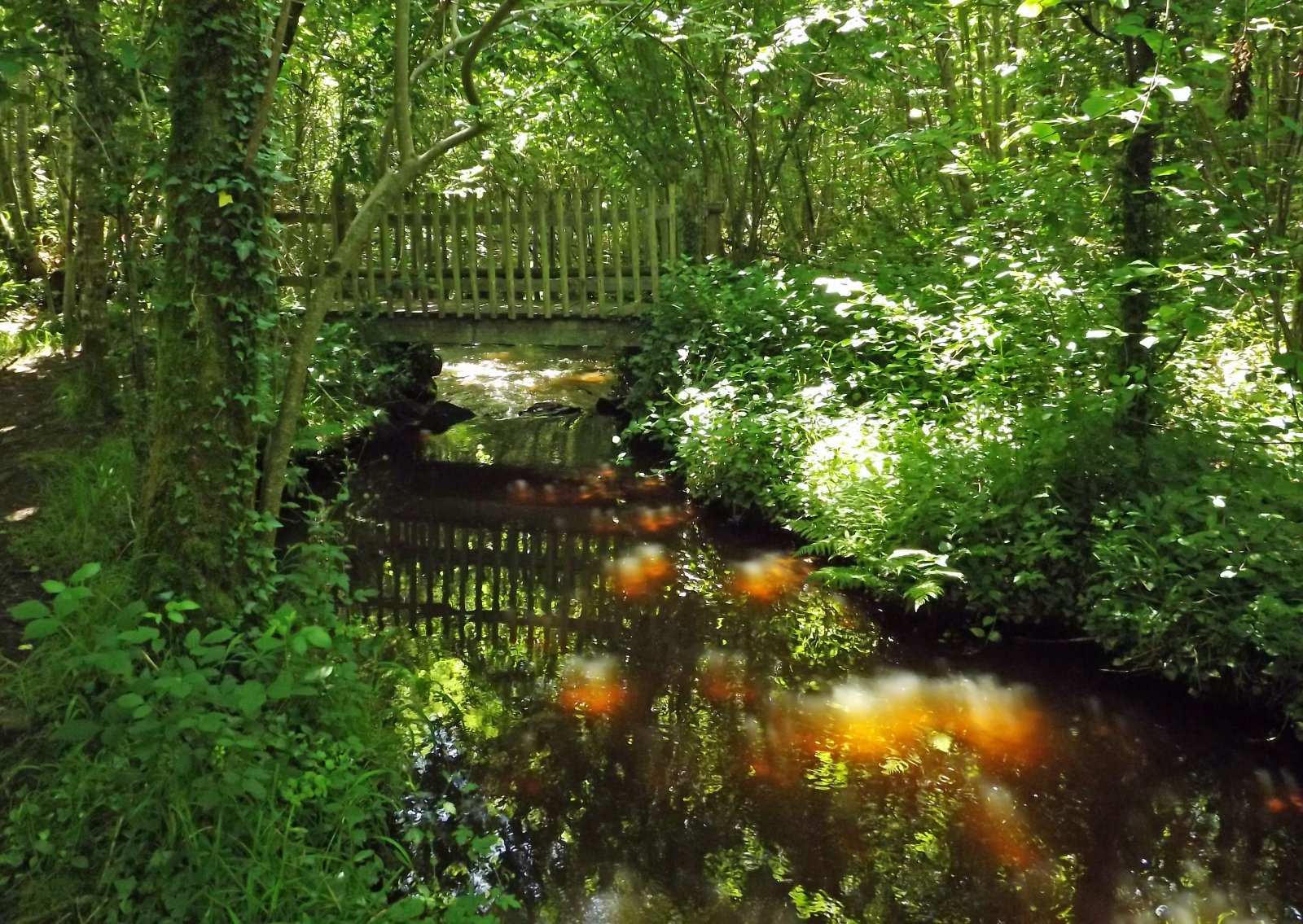 Fonds d'cran Constructions et architecture Ponts - Aqueducs petit pont de bois