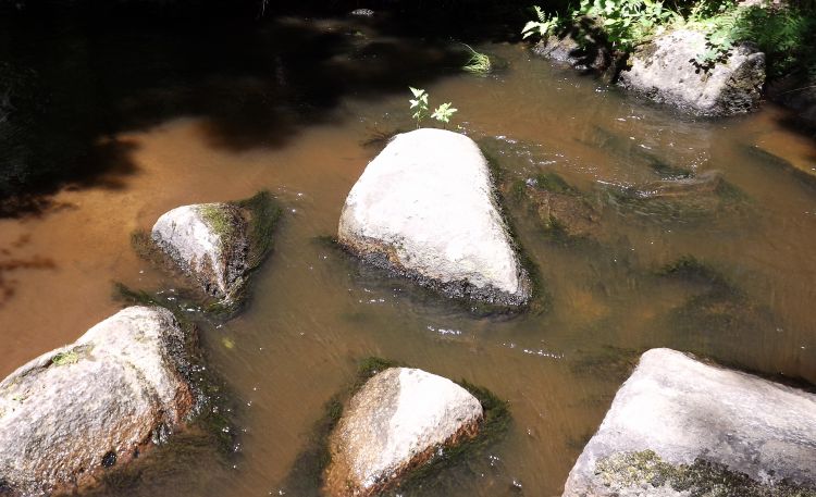 Wallpapers Nature Rocks - Stones - Sand le roc branlant