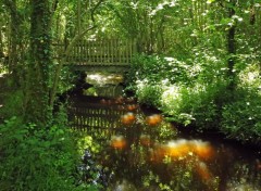  Constructions and architecture petit pont de bois