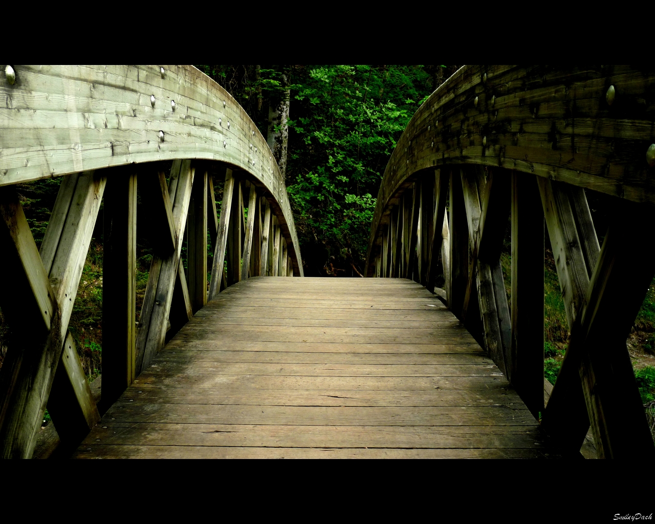 Fonds d'cran Constructions et architecture Ponts - Aqueducs Forest Bridge