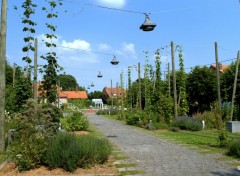  Nature SAINT JANS CAPPEL