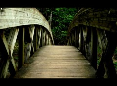  Constructions et architecture Forest Bridge