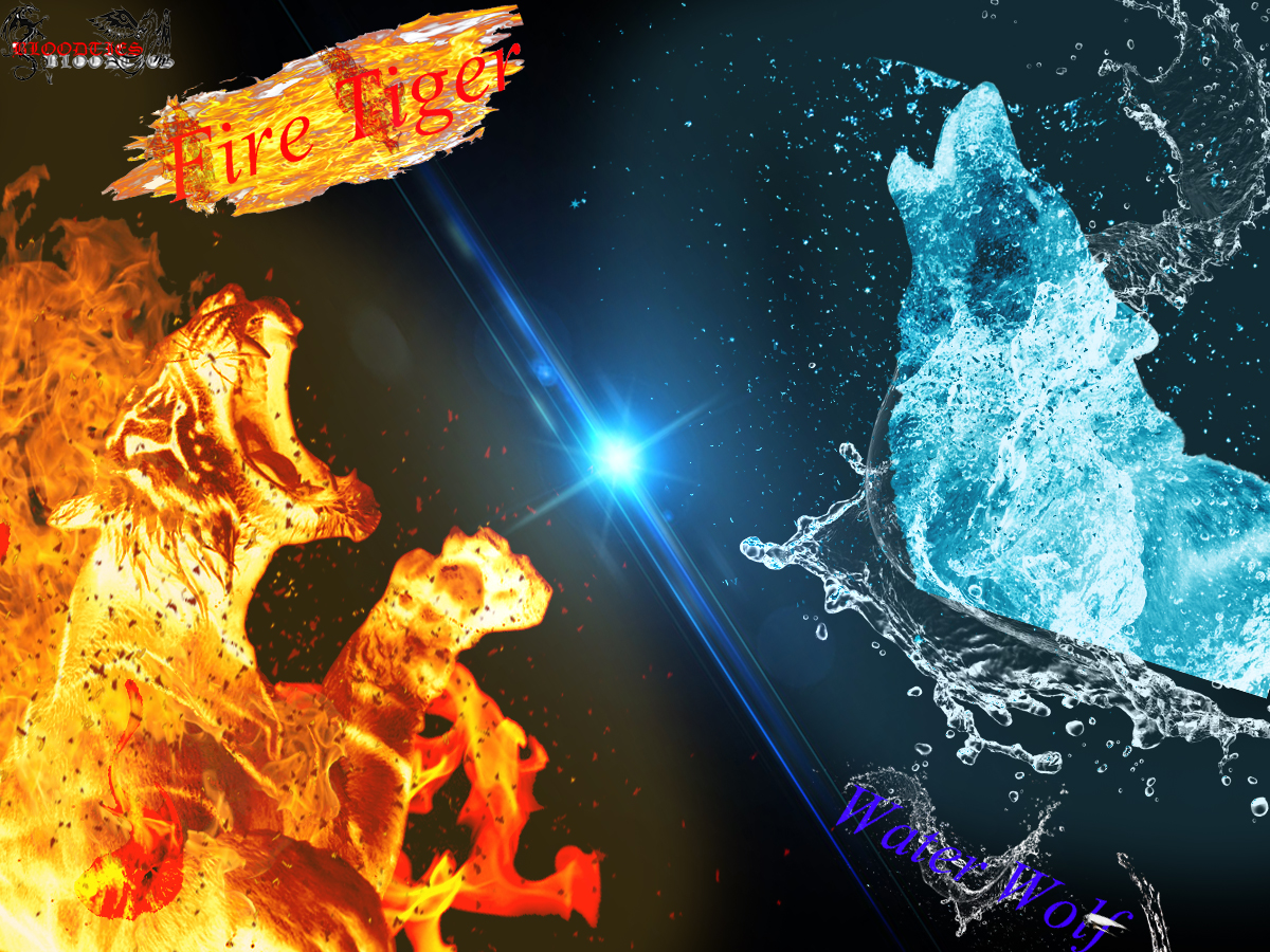 Wallpapers Digital Art Elements : air, water, fire, earth Tigre de feu contre Loup d'eau