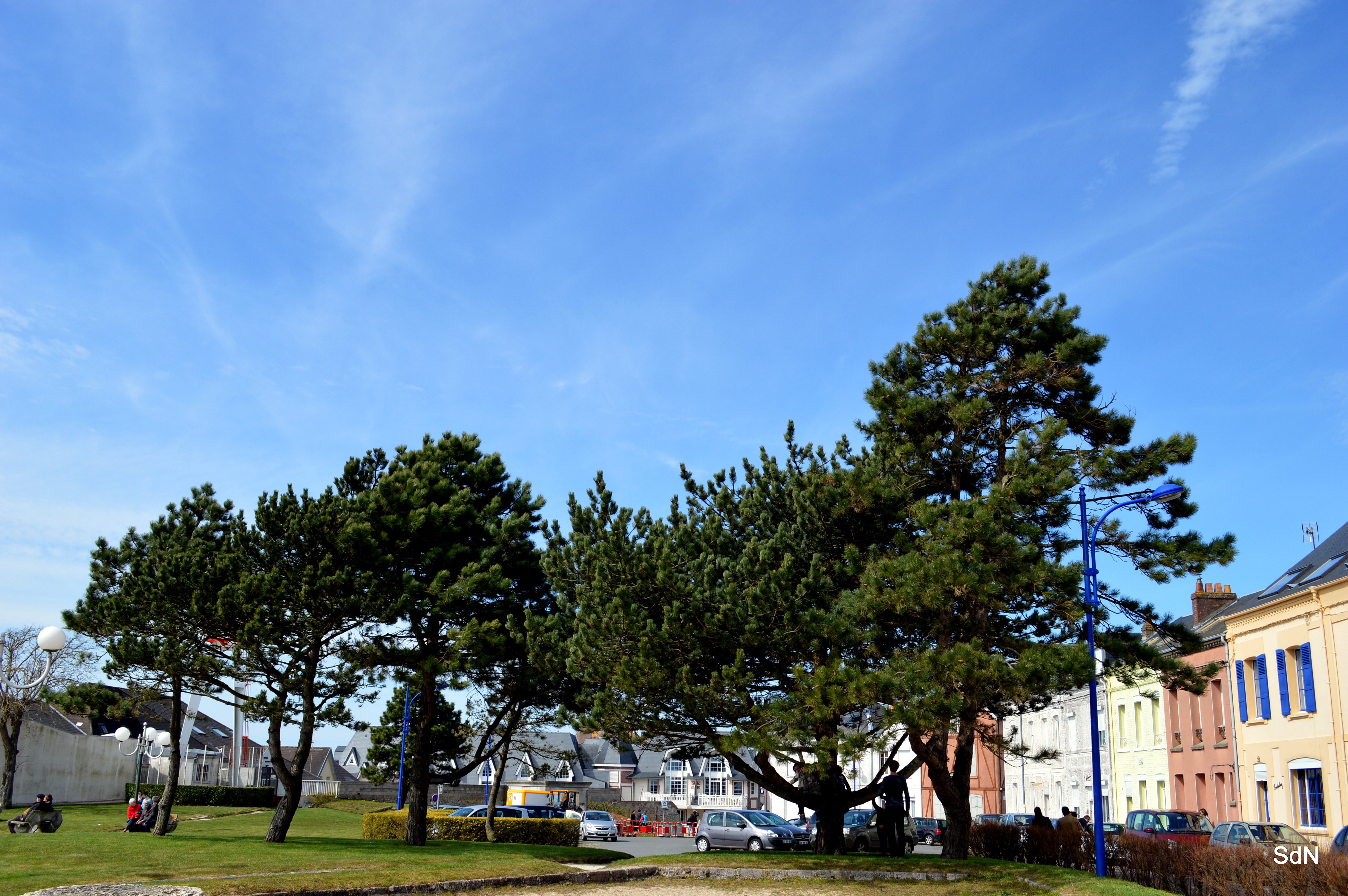 Wallpapers Nature Trees - Forests DU CROTOY A ST VALERY