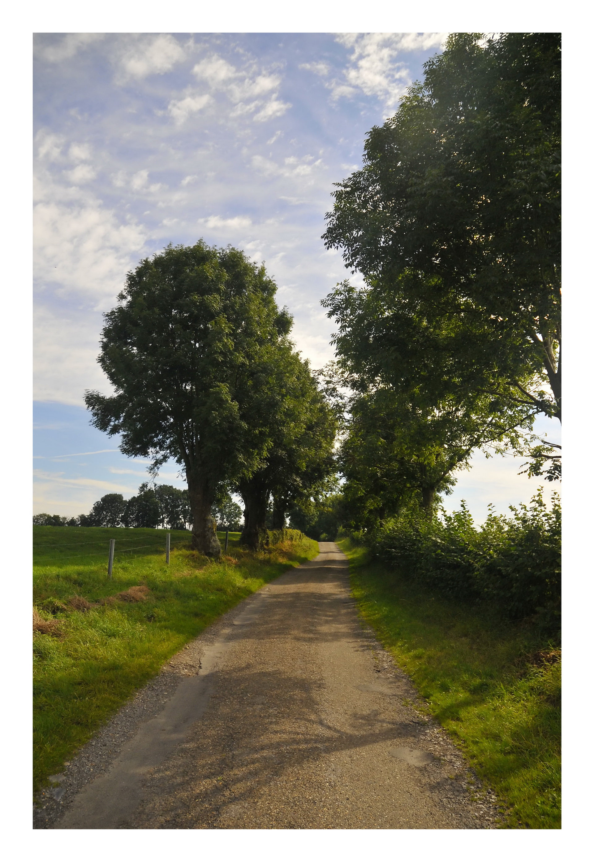 Wallpapers Nature Paths Promenade dans la nature (Lontzen)