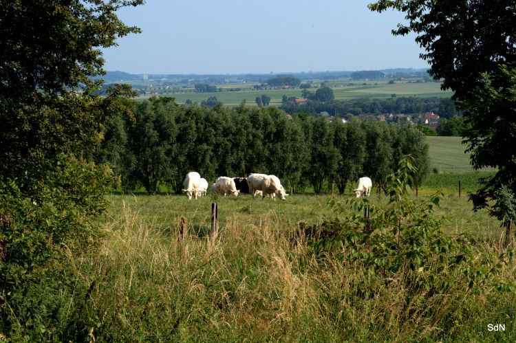 Wallpapers Nature Landscapes MONT DE L ENCLUS