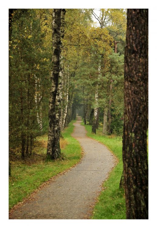 Fonds d'cran Nature Saisons - Automne Promenade dans la nature (Luxembourg)