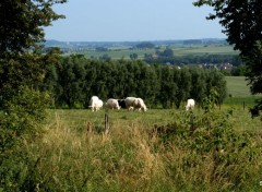  Nature MONT DE L ENCLUS