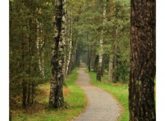  Nature Promenade dans la nature (Luxembourg)